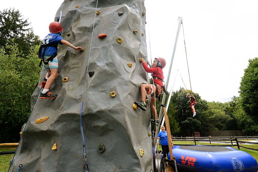 bungee - Frogbridge Picnics & Special Events